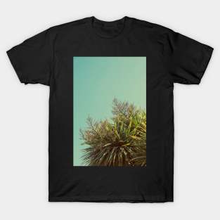 Cordyline Vibes T-Shirt